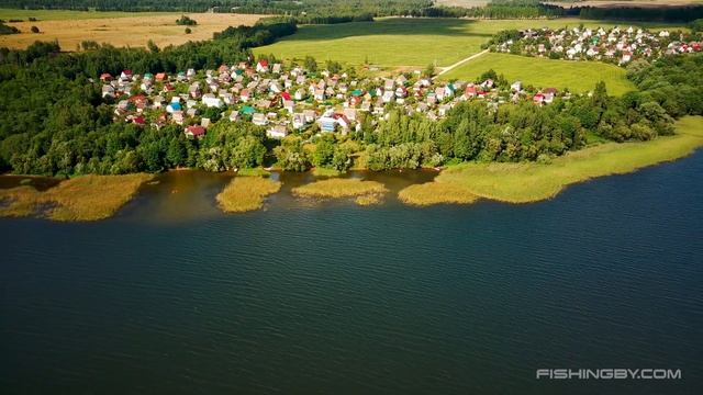 Озеро Лосвидо (Городокский район) смотреть онлайн