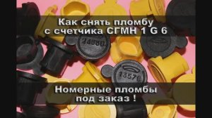 Пломба СГМН 1 G 6 _Номерная пломба заглушка