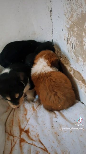 😥😥😥😥 смотреть онлайн