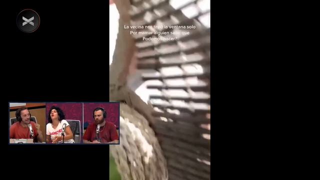 VOYEURISMO, mirones y ESPÍAS en la masterclass de Mili Goggia 👀 смотреть онлайн