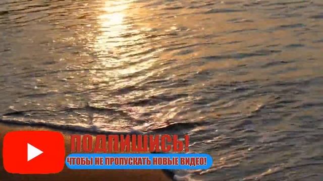 ГУМАННАЯ ВАМПИРША .Невыдуманная история смотреть онлайн
