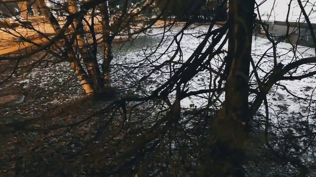 VID 20240202 210843 Первый снег (Отто Гельстед)...Павел Васильев Лахтинский смотреть онлайн