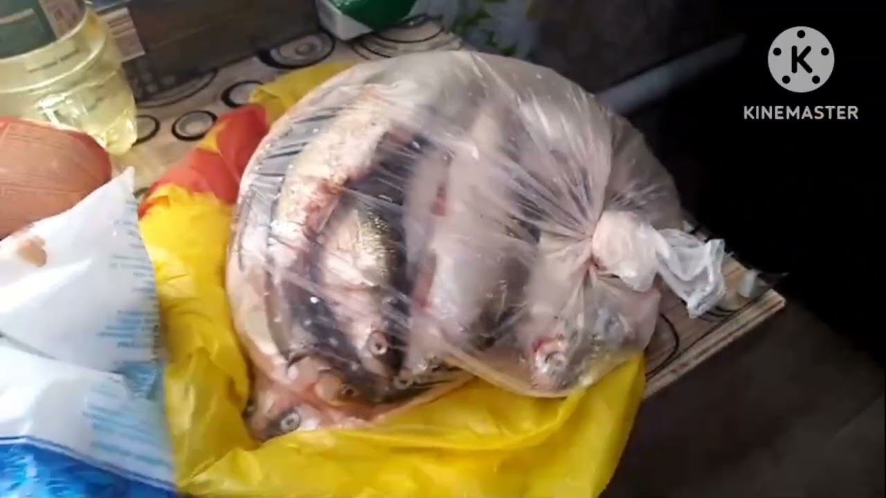 Поездка в Ишим/купили мясо/опять сделали зельц смотреть онлайн