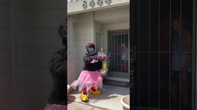 Gorilla in Pink Tutu Telegram for Nikki!! August 2020 смотреть онлайн