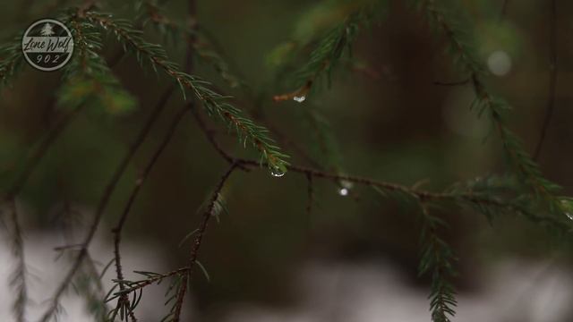 Hot Tent Overnighter in Rain and Snow смотреть онлайн