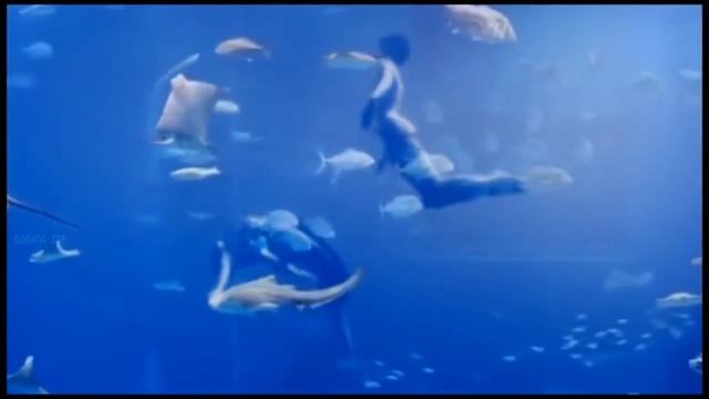 Наутилус Помпилиус - Дыхание смотреть онлайн