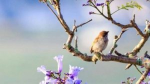 С добрым утром! 💖 Лучшие анимации и картинки, чтобы зарядить позитивом!