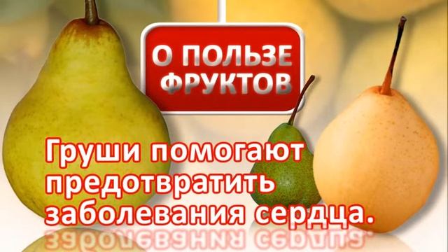 mol fruit grushi 09 10 смотреть онлайн