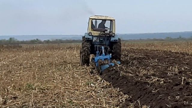 спашка поля на юмз 6 смотреть онлайн