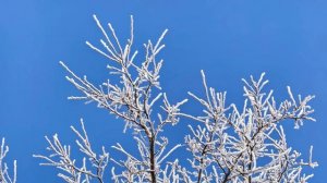 Очень красивые фото-кадры природы...