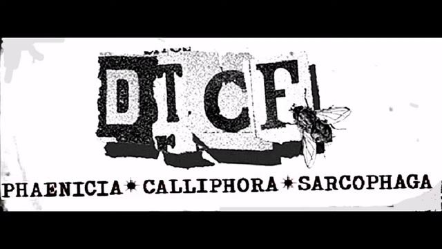 Desechos Tóxicos De Un Cadaver Fermentado - Phaenicia.Calliphora.Sarcophaga (GORENOISE 2022) смотреть онлайн