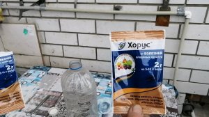 Обработка препаратом Хорус - идеальное средство защиты весеннего плодового сада от болезней