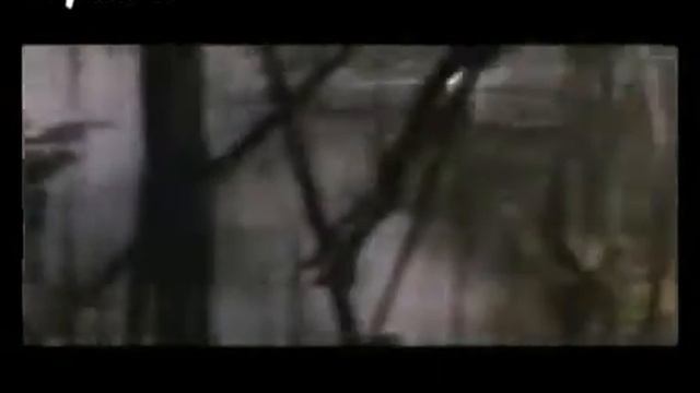 Рэмбо & Мимино смотреть онлайн