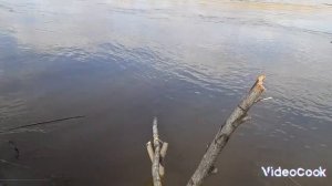 Рыбалка. Весной на кривду.
