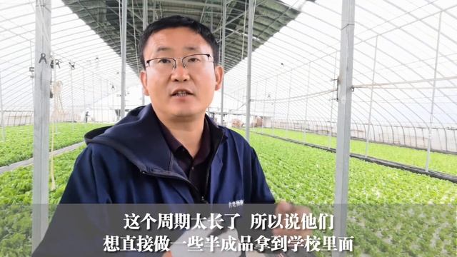一种独有的商业模式，适合水培生菜种植，只种半成品 смотреть онлайн