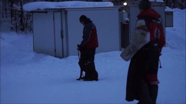 Макелоус Максимум 06 02 2015 смотреть онлайн