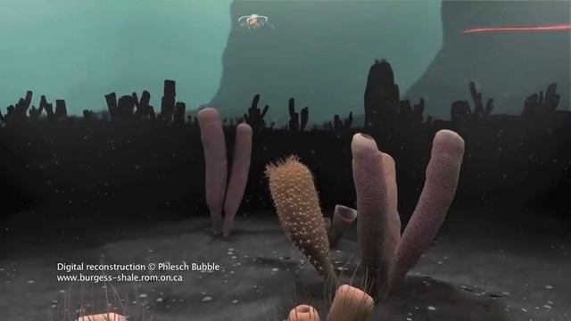 Burgess Shale: Early Life Predators смотреть онлайн