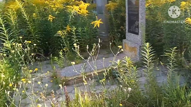 # Енакиево 07.08.2023 смотреть онлайн