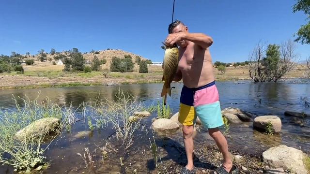 Райский остров,красивый клёв,медовая папайя,что ещё нужно;)#america #california #отдых #рыбалка смотреть онлайн