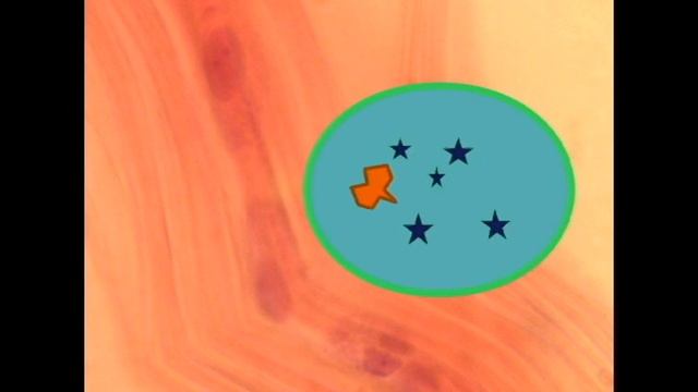 IMMUNE SYSTEM: MHC PROTEINS смотреть онлайн