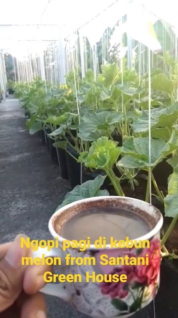 13 September 2022 смотреть онлайн