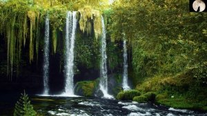 Сура Худ, Аmro-Salah, Сура 11