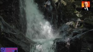 Дикая природа Коста-Рики.