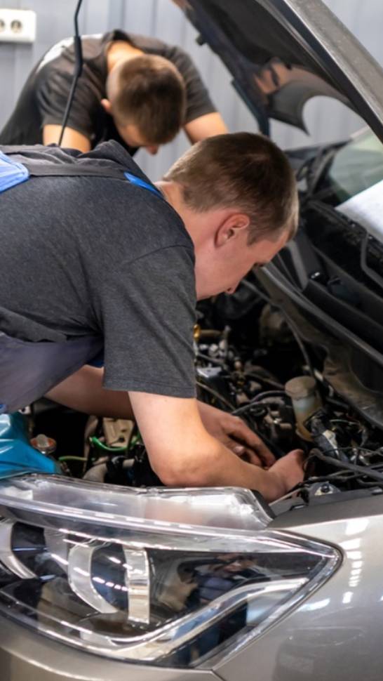 Идеальный способ релаксации найден! смотреть онлайн