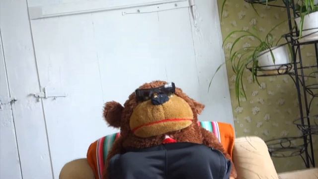 Точно ли Вы тот, кем хотели быть? смотреть онлайн