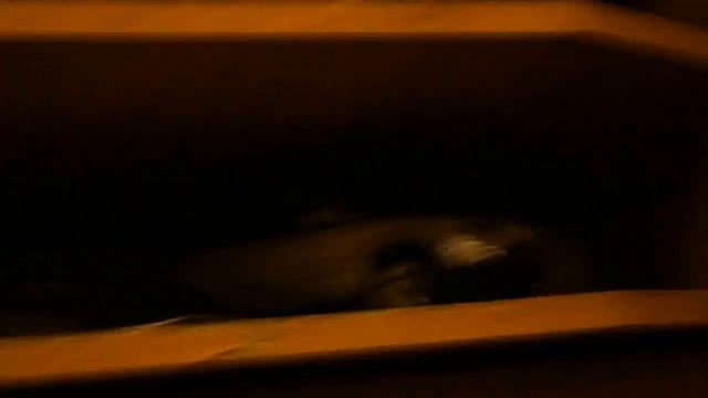 Хомяк Киви Видео 7 смотреть онлайн