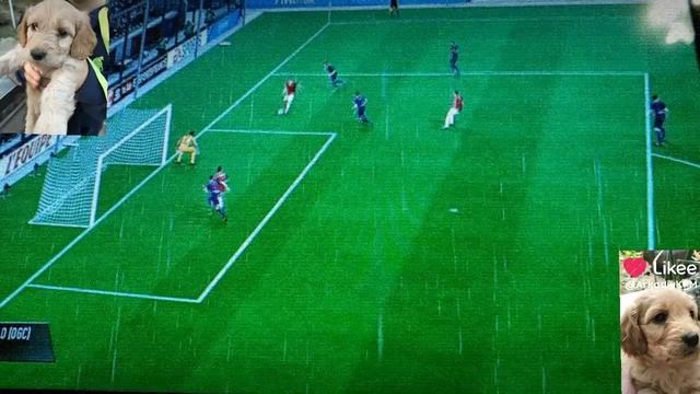 FIFA 19