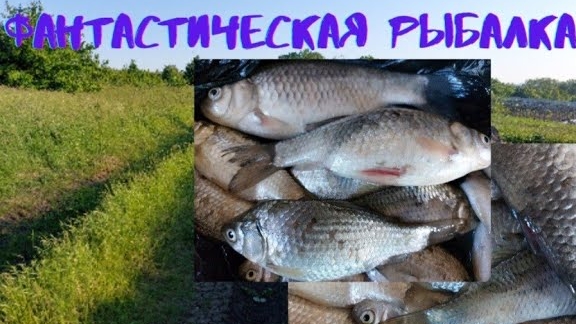 Рыбалка, улов что надо!.фантастическая рыбалка.#топыкатегорий смотреть онлайн