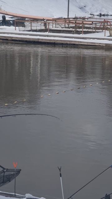 Поимка форели смотреть онлайн