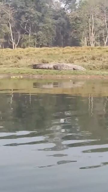 Crocodile 2 смотреть онлайн