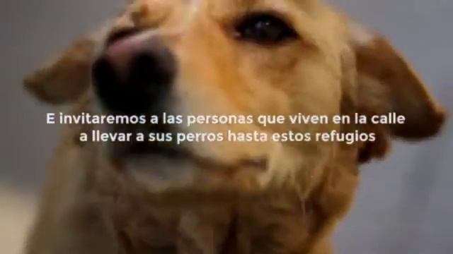 La pieza - Amos de verdad (UDP) смотреть онлайн