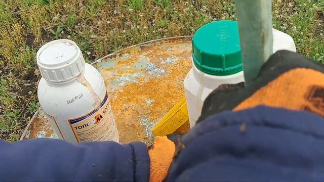 Персик. Захист від моніліозу та інших хвороб. Обов'язковий обробіток.