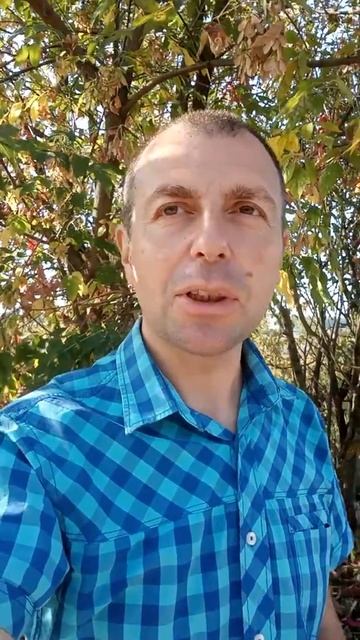 Народный календарь смотреть онлайн