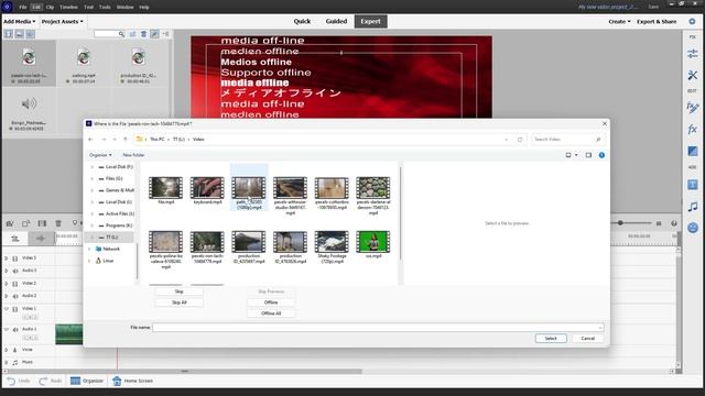 Premiere Elements - Lesson 135 - Locate Media