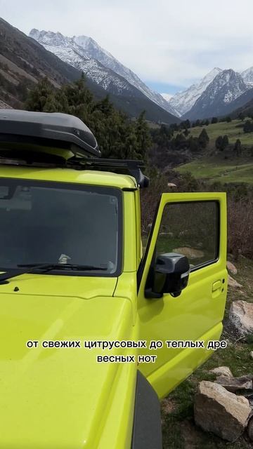 Не можешь подобрать автодиффузор? Тогда смотри! #jb74 #jimny #travel #suzuki #jimnyjb74 #диффузор смотреть онлайн