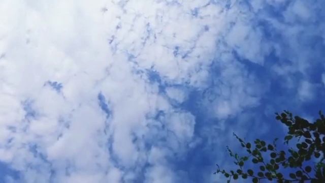 Berburu bibit ikan lele dan mampir ke peternakan ayam 🐟🐔☕ смотреть онлайн