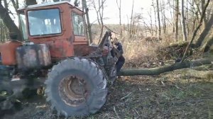 ДТ-75 на колесах. Витягиваем ЮМЗ из болота, чуть не засел сам.