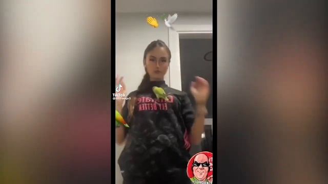 Women 23 (Team Fortress Meme) смотреть онлайн
