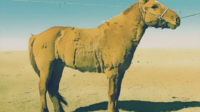 Хурдан Хээрийн Домог смотреть онлайн