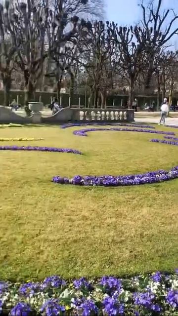 Un paseo por los Jardines de #Mirabell en #Salzburg 🇦🇹 #viajesporelmundo #wanderlust смотреть онлайн