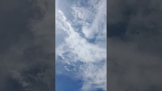 Голуби Липецкой области смотреть онлайн