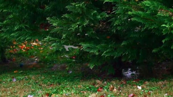 Griffinilla - Below The Surface (Lyrics Video)