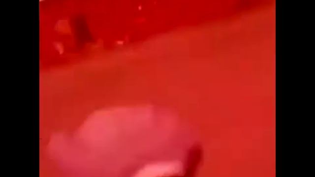 Даша параша 2 часа+я карта смотреть онлайн
