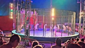 #Анапа влог 2023. Сходили на представление в Итальянский цирк на стадионе Спартак на улице Горького.