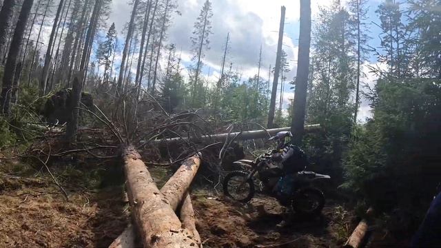 Грязный Бурундук 2023. Боль и страдания. смотреть онлайн