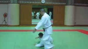 Риоте мочи дзю ваза